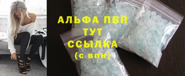 прущие грибы Осташков