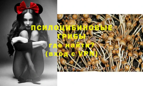 ALPHA-PVP Арсеньев