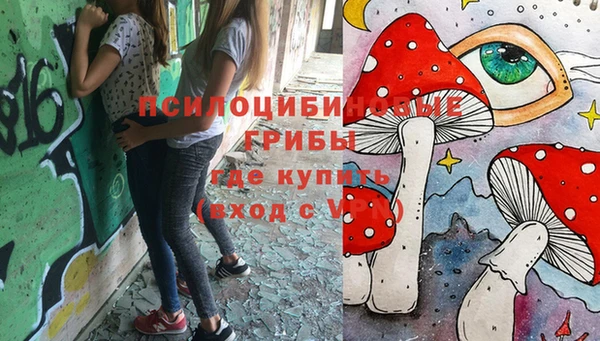 молекула духа Остров