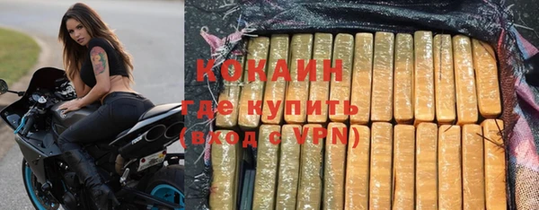 прущие грибы Осташков