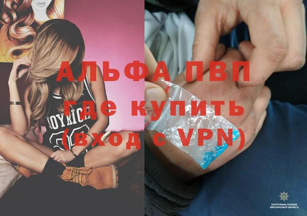 прущие грибы Осташков